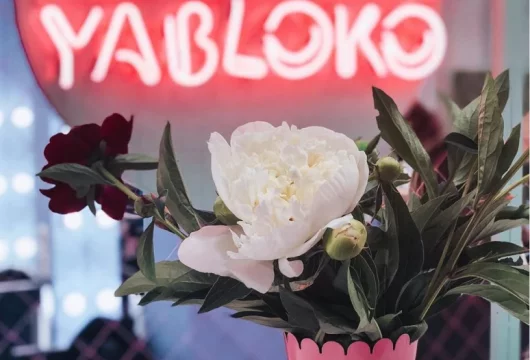 салон красоты krasnoe yabloko на нахимовском проспекте фото 4 - nailrus.ru
