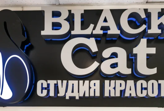 салон красоты black cat фото 8 - nailrus.ru