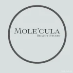 студия красоты mole’cula beauty studio фото 2 - nailrus.ru
