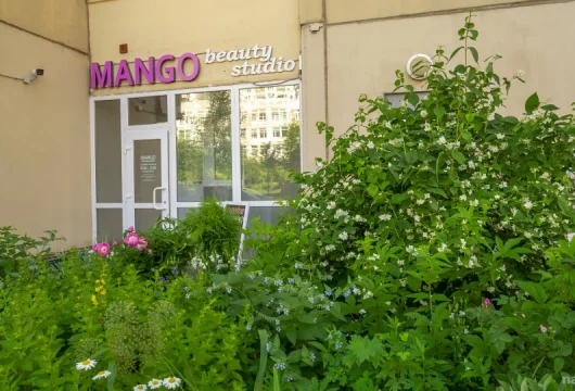 студия красоты манго фото 3 - nailrus.ru
